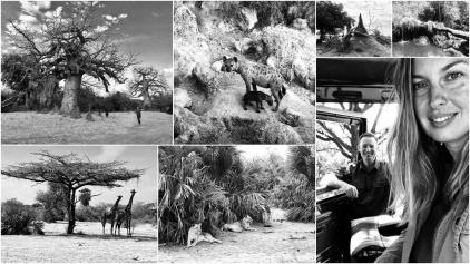 AC Vesna Lane Selous Rezervat Tanzanija Afrika scaled